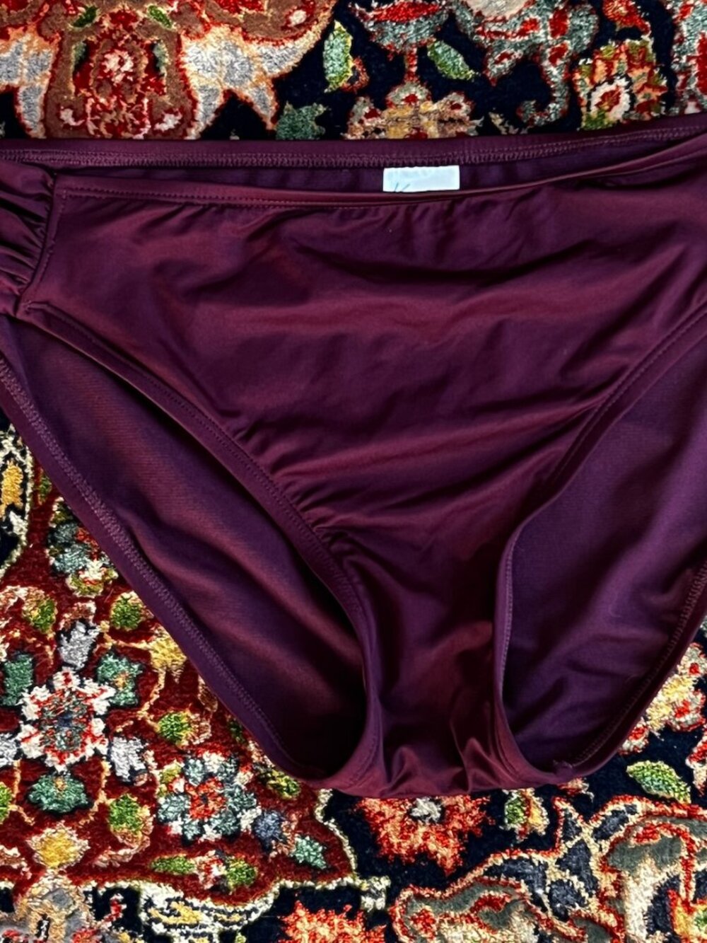 NWT Purple Bikini Bottom
